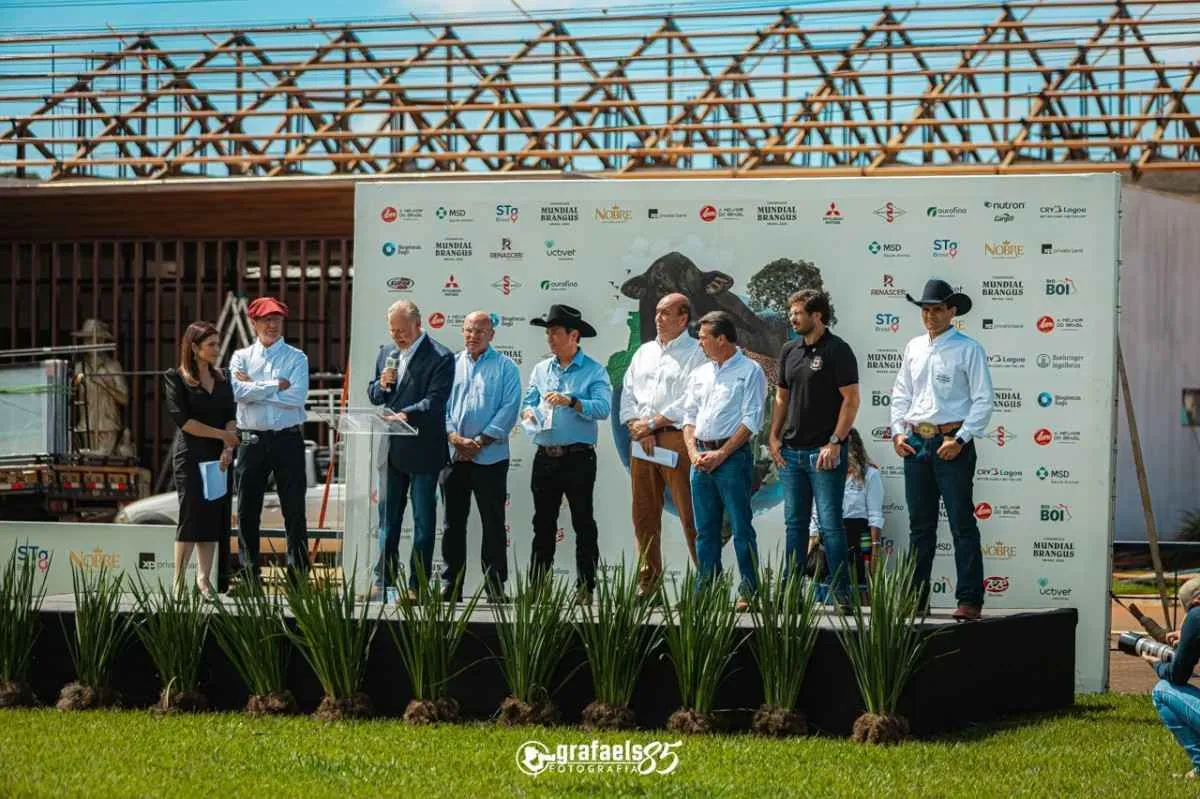 Congresso Mundial de Brangus abre programação oficial em Londrina