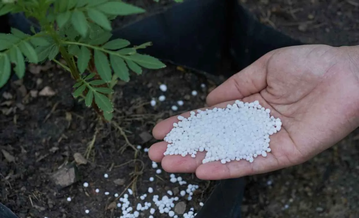 Conflito no Oriente Médio ameaça oferta global de ureia