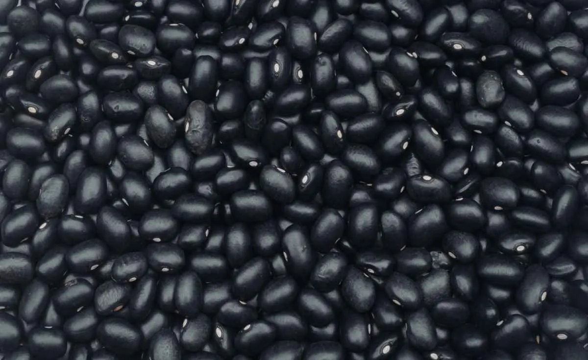 Demanda fraca derruba preços do feijão no mercado interno
