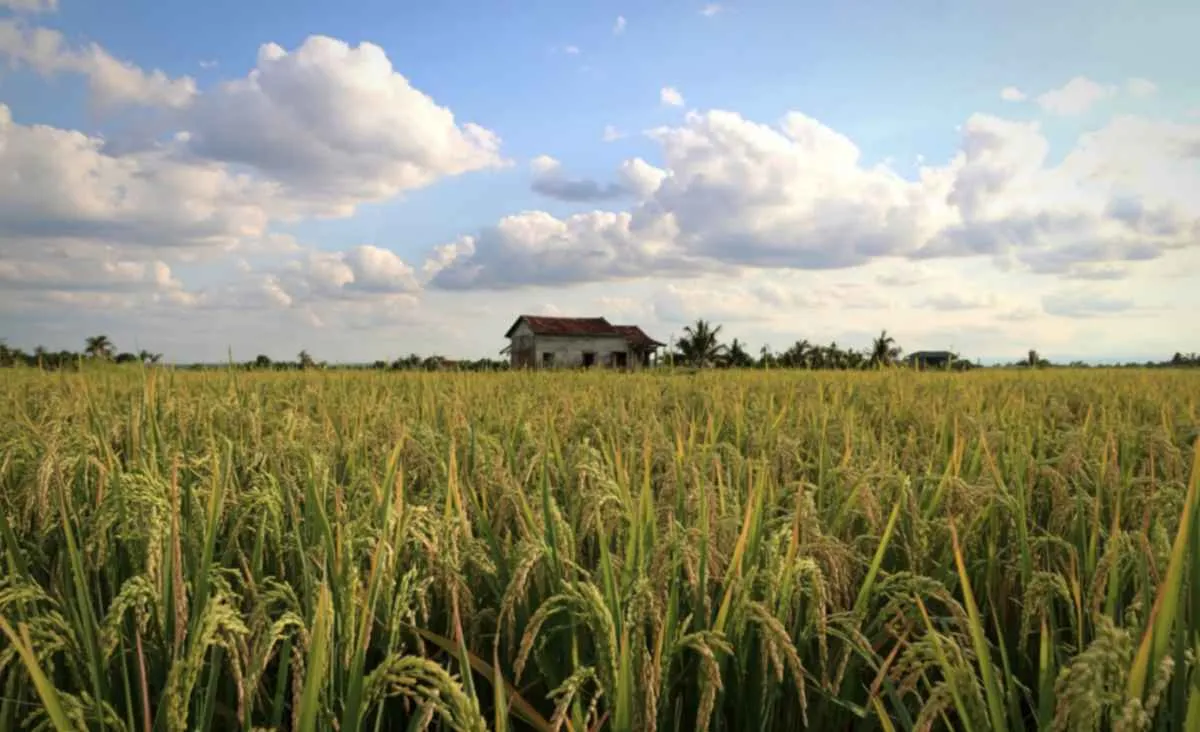 Segurança rural: tema mobiliza estados em encontro nacional