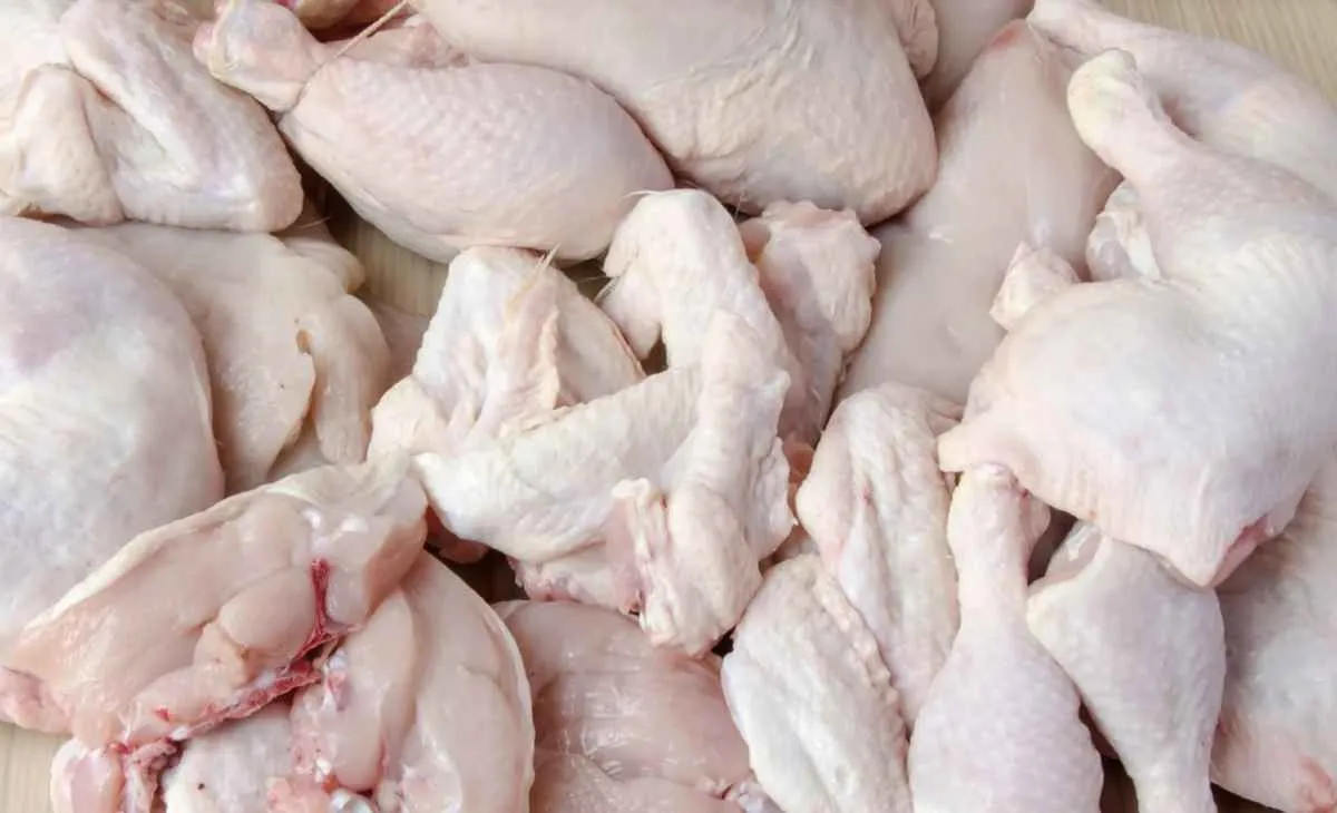 Conflito no Oriente Médio acende alerta no setor de frango