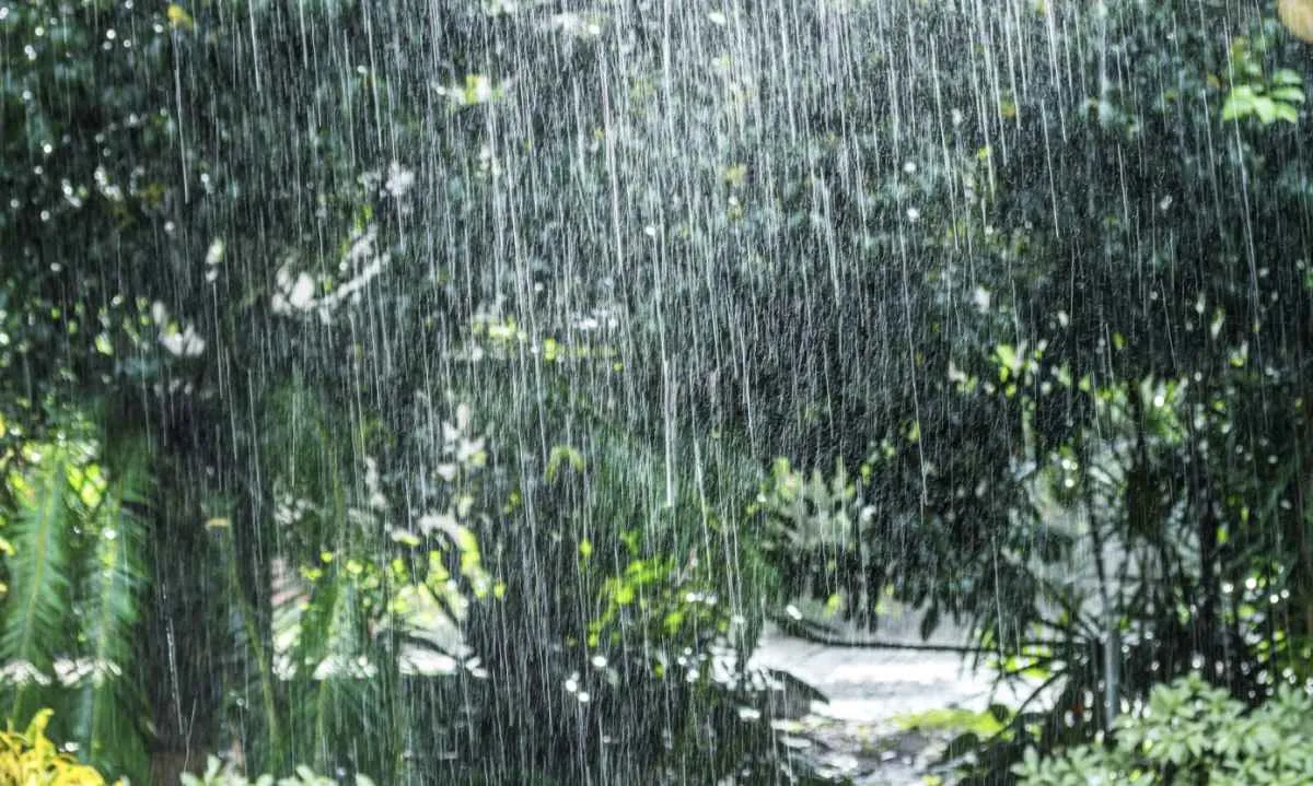 Terça-feira terá chuva em SP e alerta de temporais no país