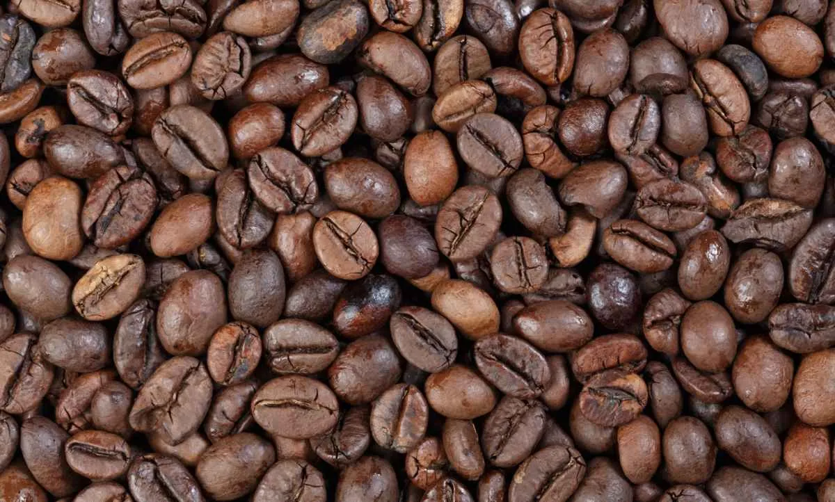 Preço do café arábica recua com perspectiva de safra recorde