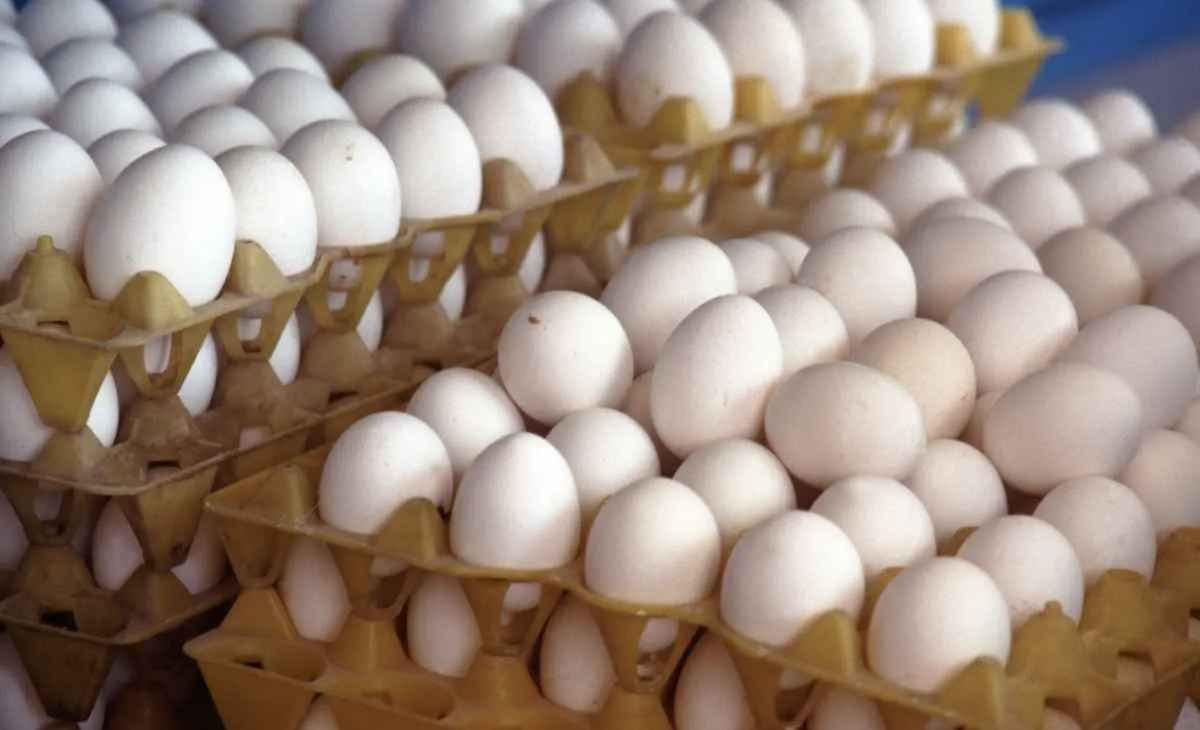 Preço dos ovos recua no fim de março, mas média segue alta