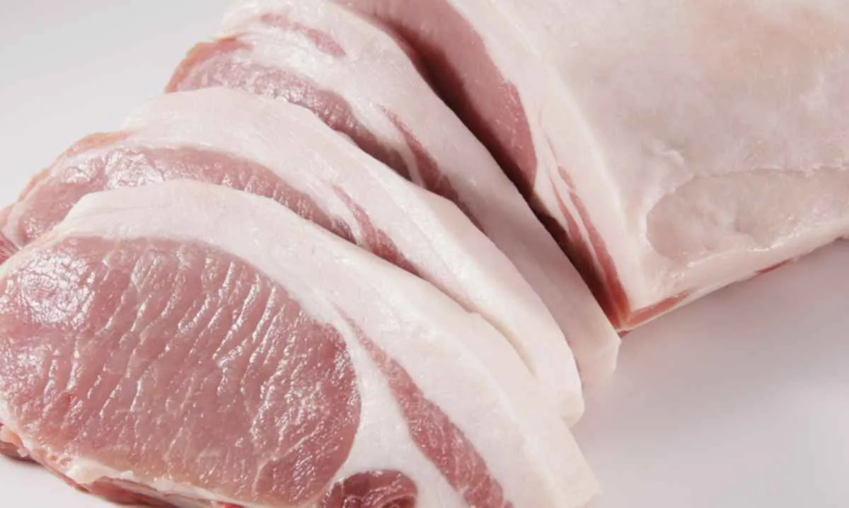 Brasil abre novos mercados e ampliam exportações do agro brasileiro