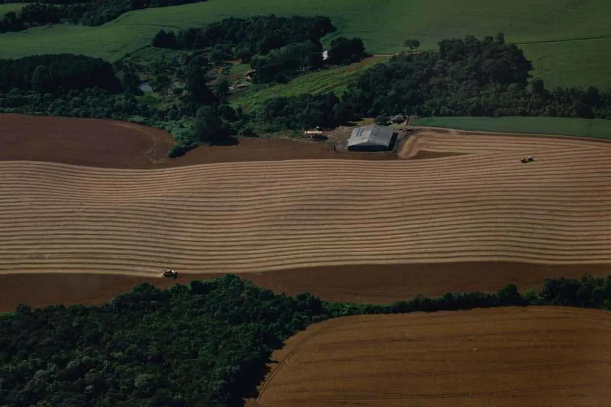 Soja avança para reta final no Paraná com 82% da área colhida