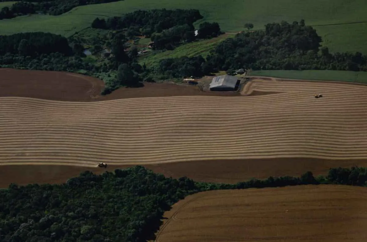 Colheita da soja chega a 82% e entra na reta final no Paraná
