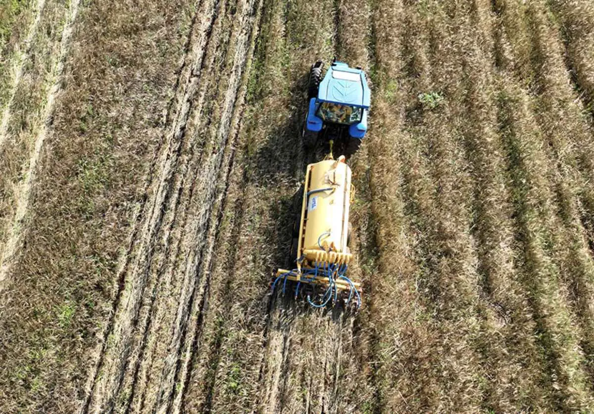 Tecnologia da Embrapa melhora gestão de biofertilizantes suínos