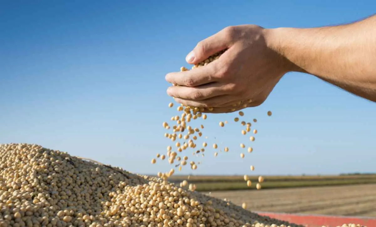 Agro responde por 48,5% das exportações do Brasil