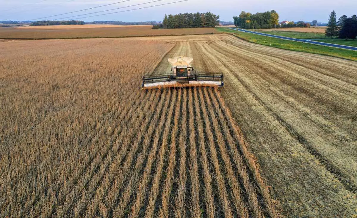 Alta de custos e recuo nos preços apertam margem do produtor no início de 2026