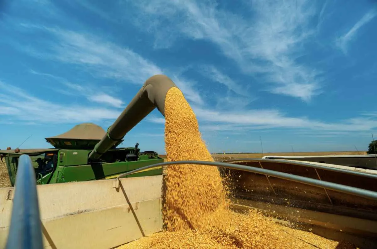 Mato Grosso lidera produção de etanol de milho no Brasil