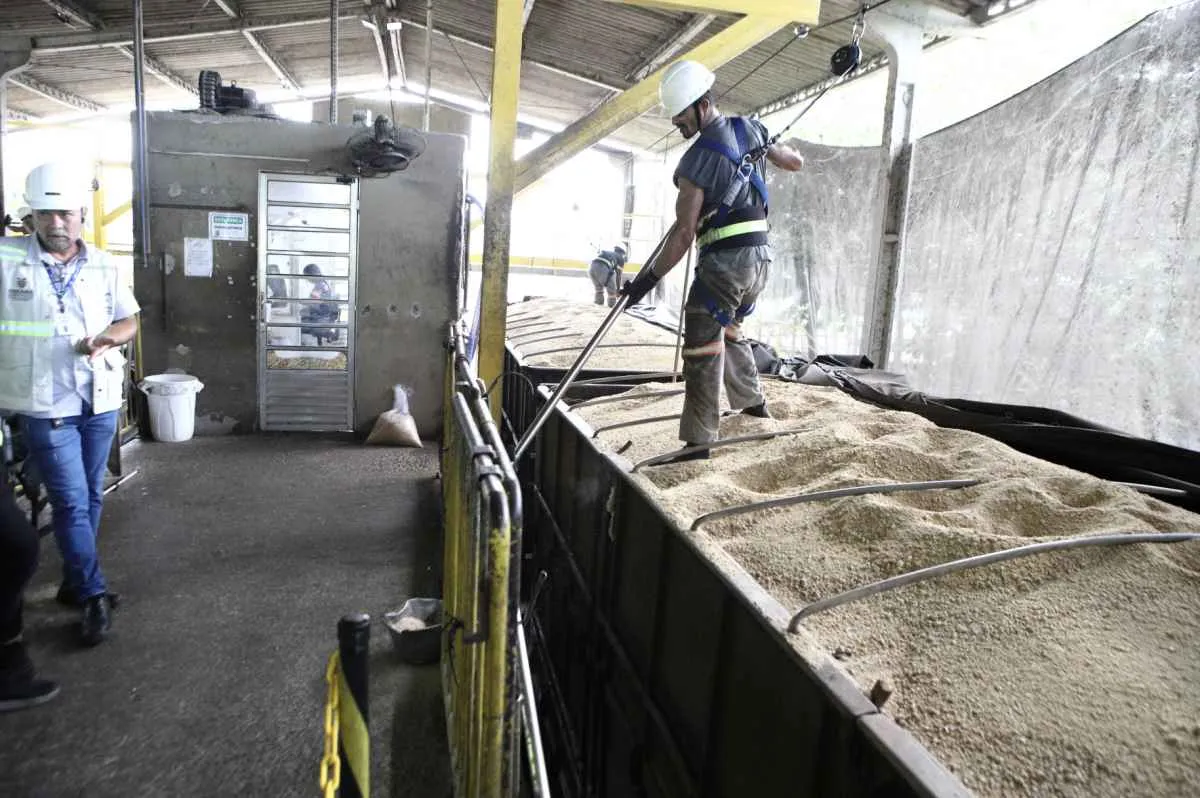 Controle no Porto de Paranaguá fortalece exportação de grãos