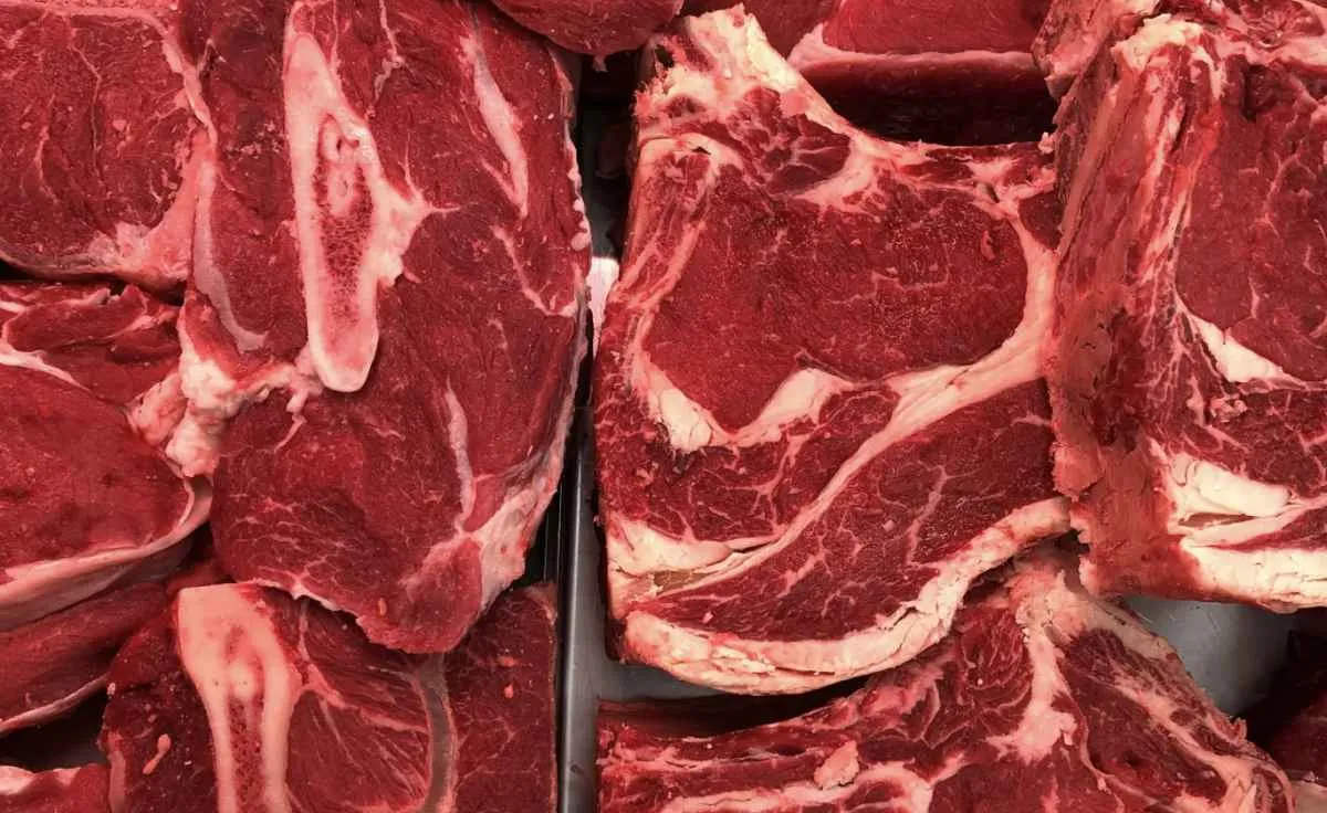 Exportações de carne bovina de MT para o Chile avançam 52% em janeiro