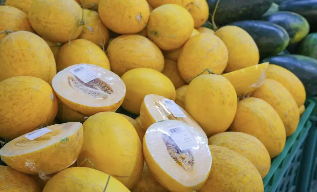 Menor oferta sustenta alta do melão amarelo na Ceagesp