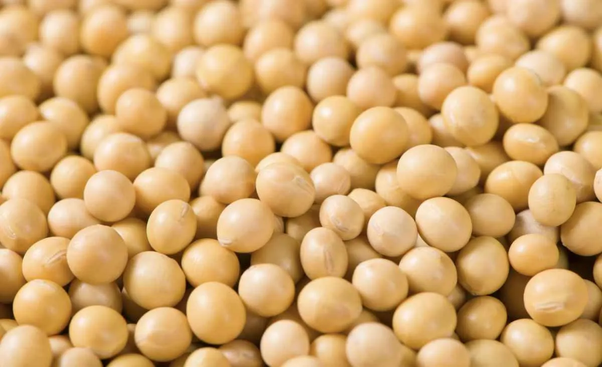 Mais soja no mundo reduz espaço para alta nos preços