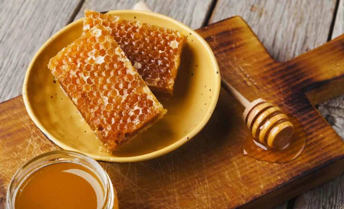 Brasil amplia exportações do agro com novos mercados na Turquia e na Nova Zelândia