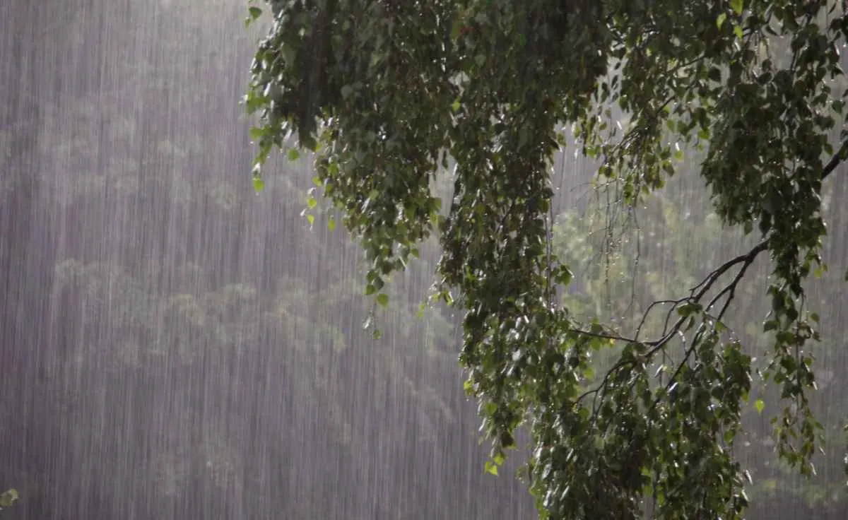 INMET prevê semana com chuva forte em parte do Brasil