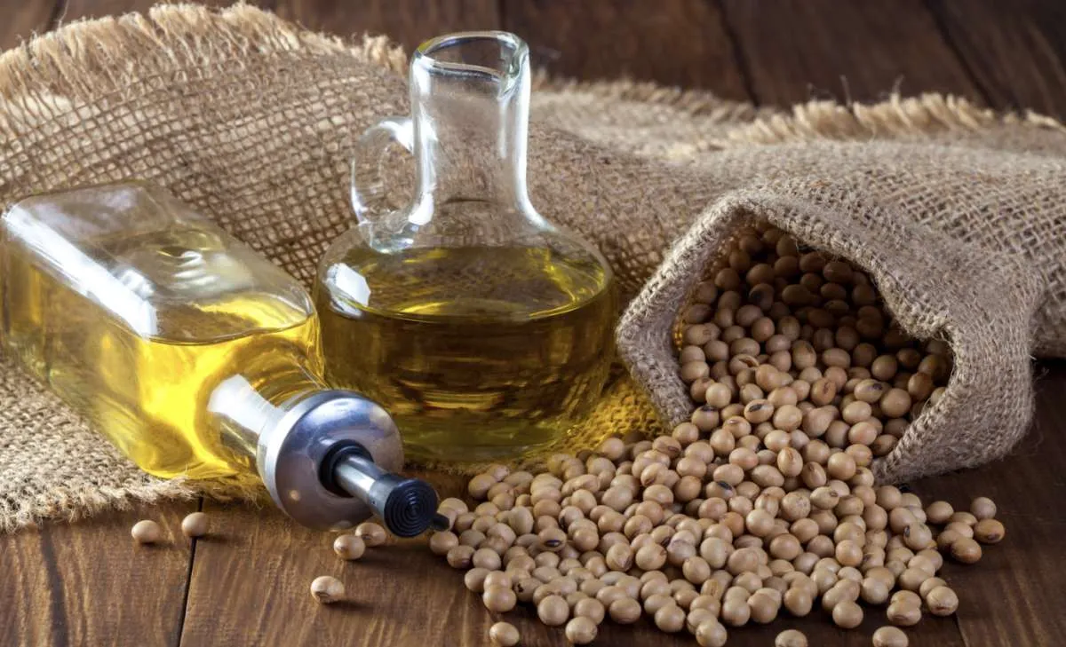 Esmagamento de soja cresce e Brasil projeta novo recorde em 2026