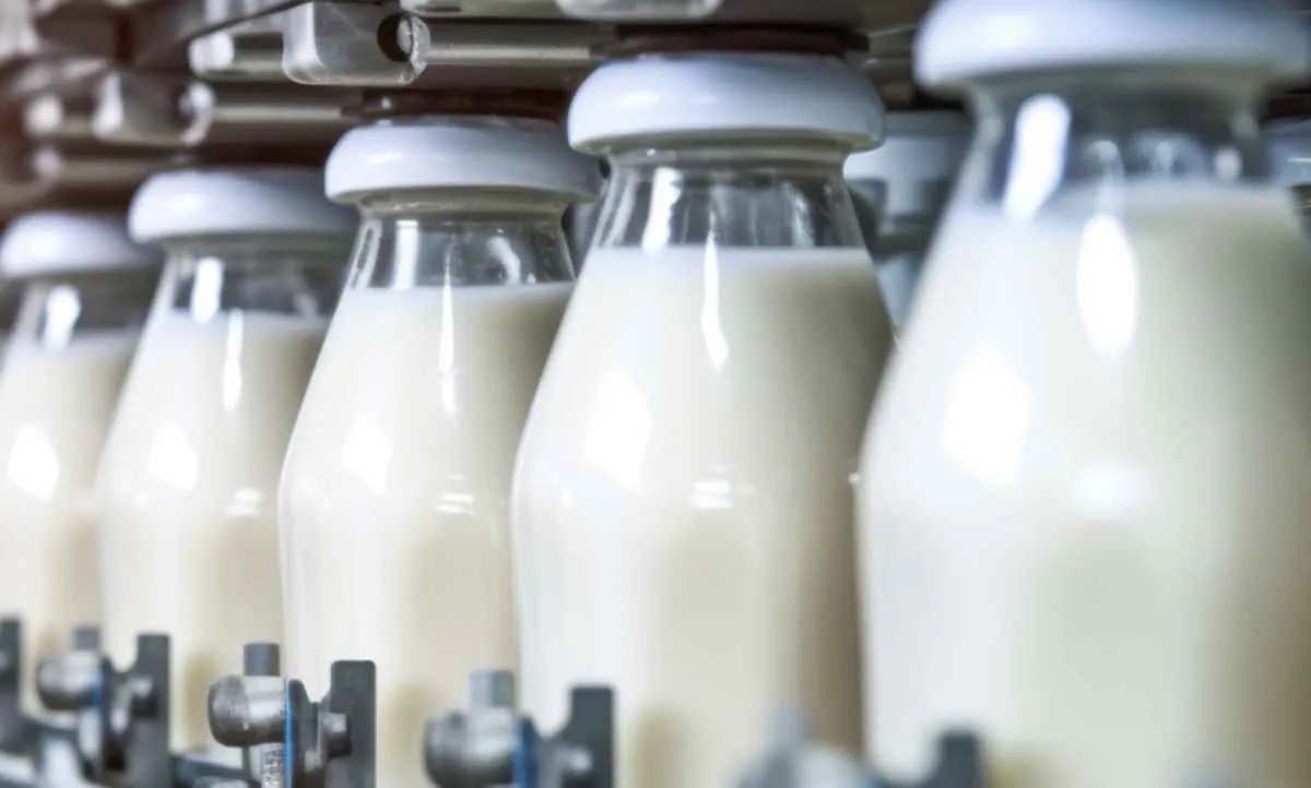 Exportação de lácteos ganha plano de incentivo no Sul