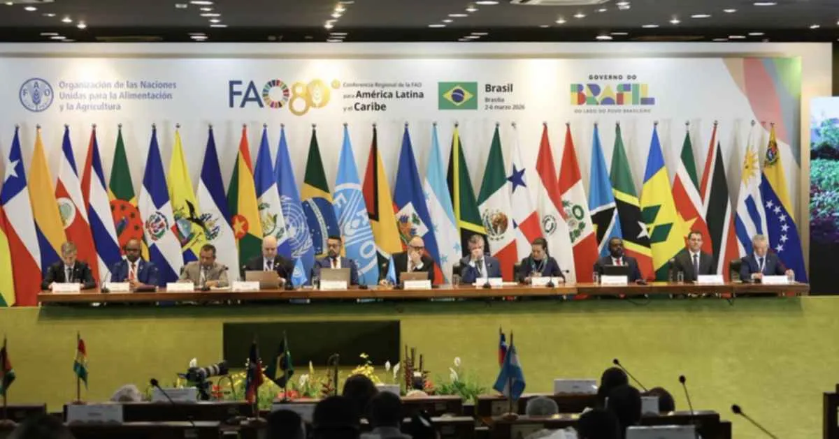 Mapa destaca inovação e produtividade sustentável em conferência da FAO