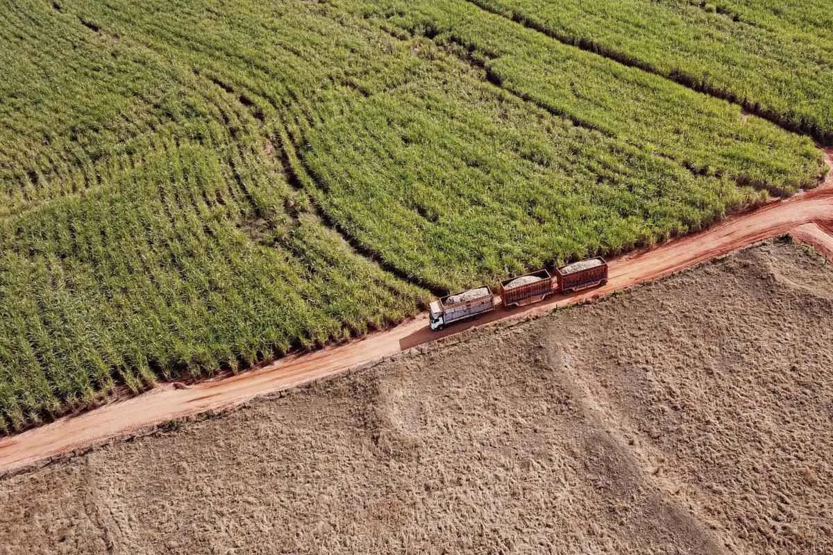 Colheita da soja avança e Paraná já retirou quase metade da safra