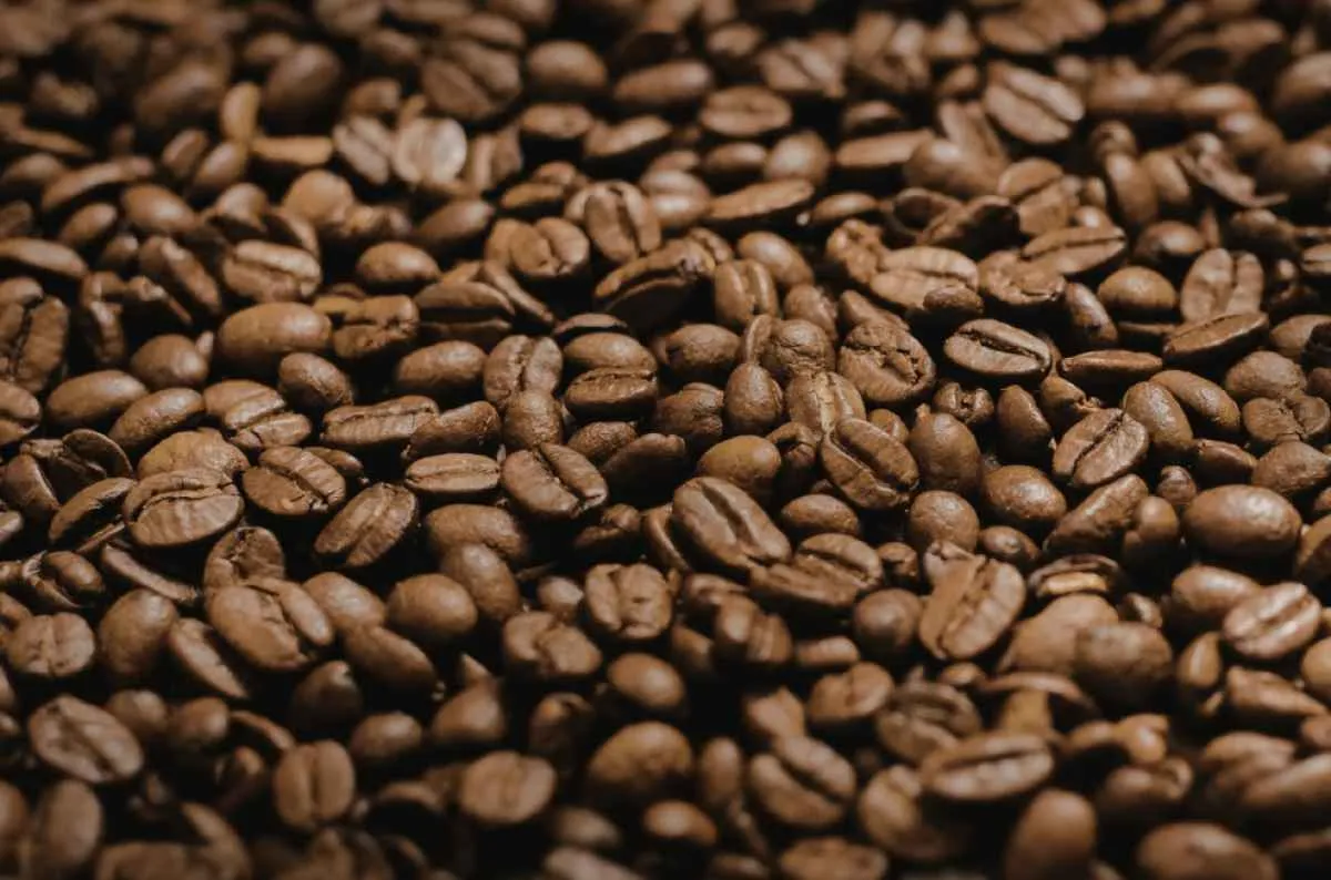 Exportação de café cai 8% em março e receita recua 15%