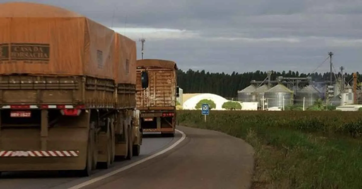 Alta do frete em MT reduz margens e preocupa o agro