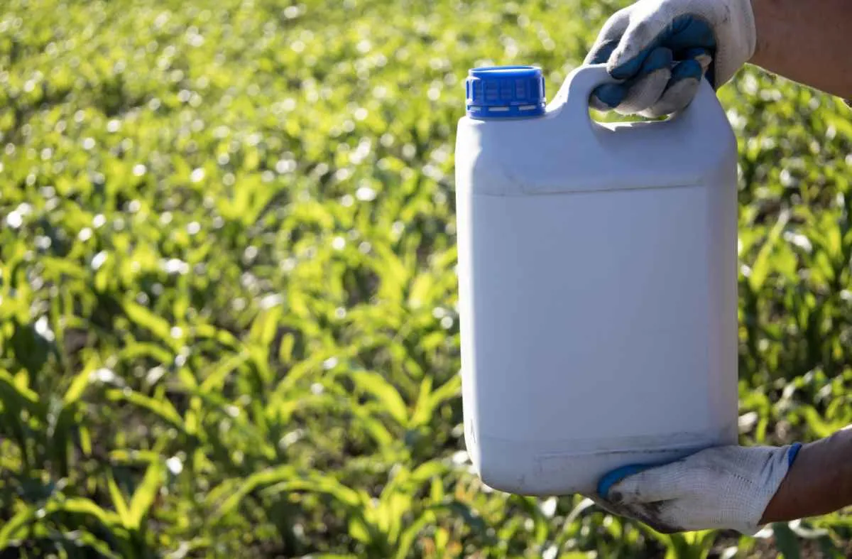 Famato alerta sobre compra irregular de embalagens