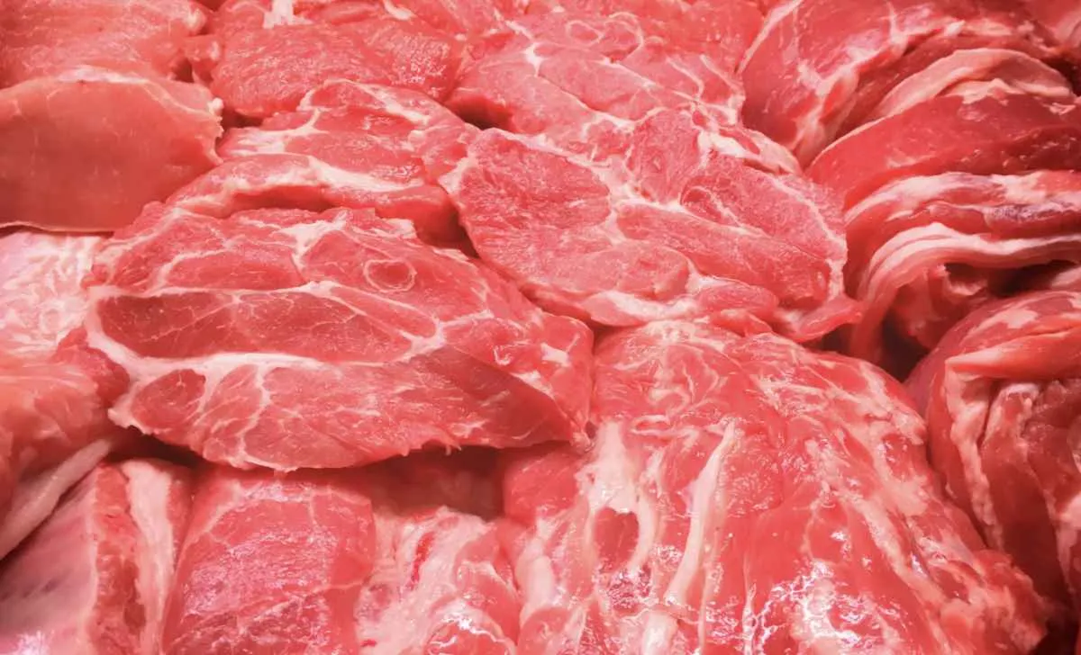 Exportações recordes impulsionam mercado do boi em 2026