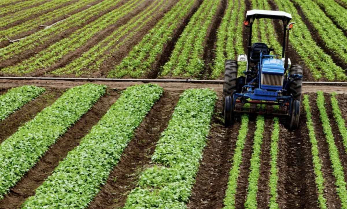 Crédito rural soma R$ 404 bilhões no Plano Safra