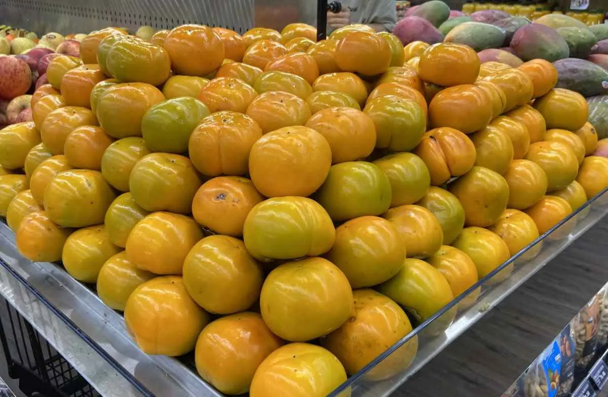 Safra de caqui avança no Paraná com preços atrativos