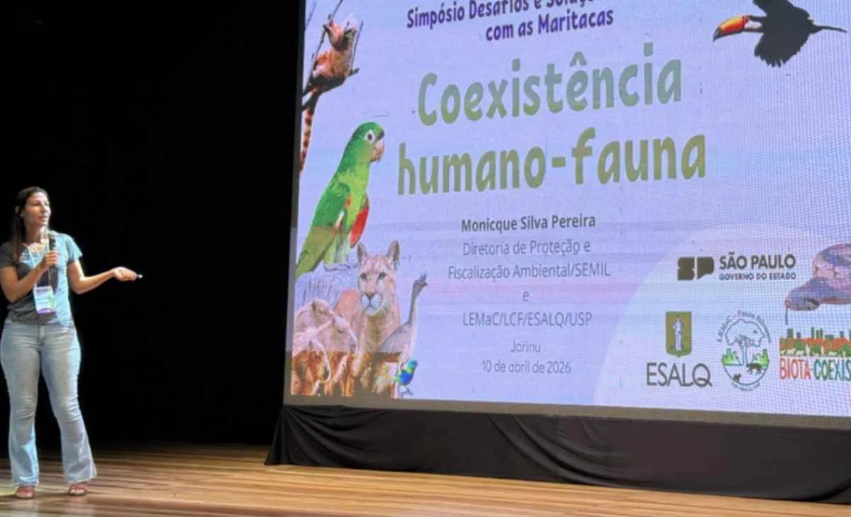 Danos por maritacas levam Mapa a discutir manejo em SP