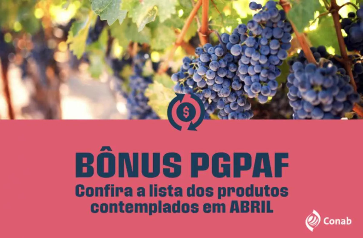 Conab atualiza itens com abatimento nas parcelas do Pronaf