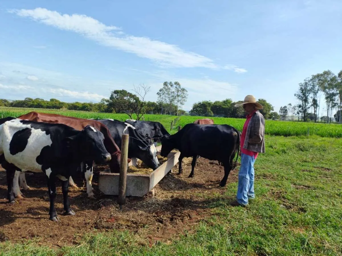 Produtores de SP são alertados sobre fundo sanitário