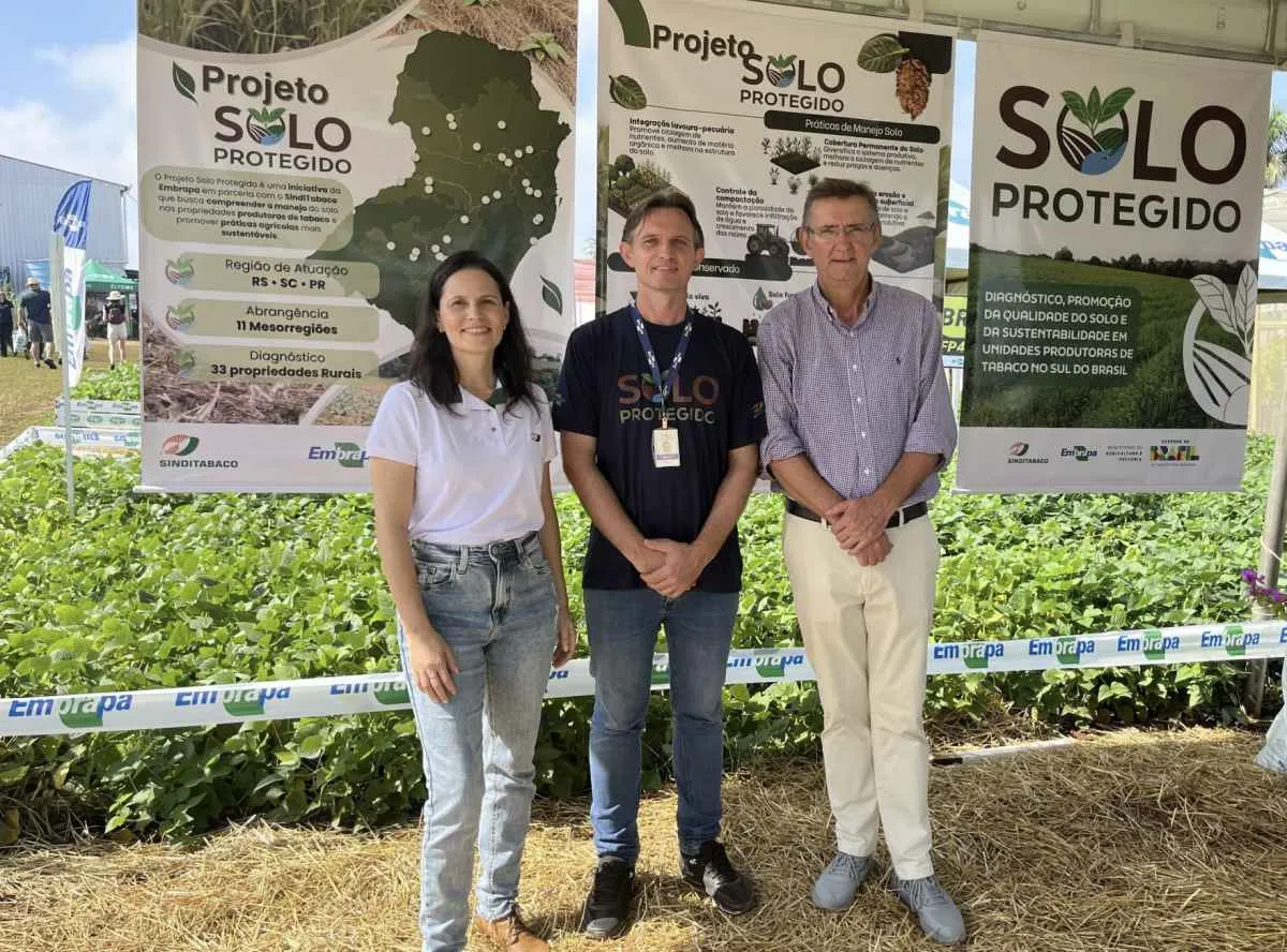 Tabaco avança em práticas para proteger e recuperar o solo