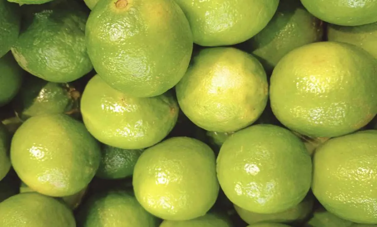 Menor oferta deve elevar preço da tahiti em maio