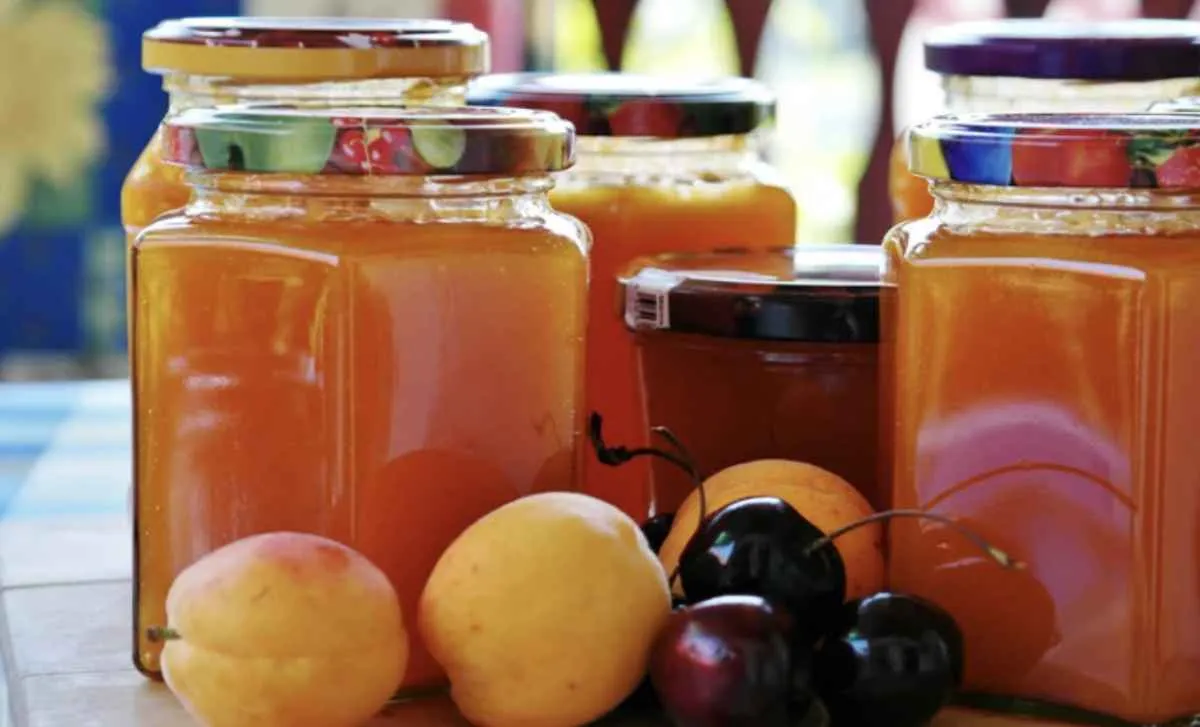 Produção de geleias amplia renda na agricultura familiar