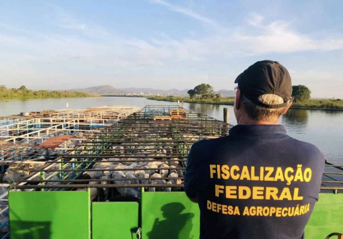 Nova lei reforça defesa agropecuária nas áreas de fronteira