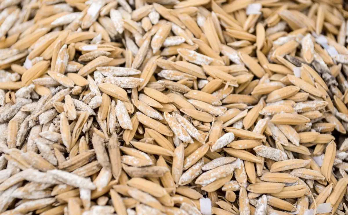 Retração de vendedores mantém mercado de arroz travado