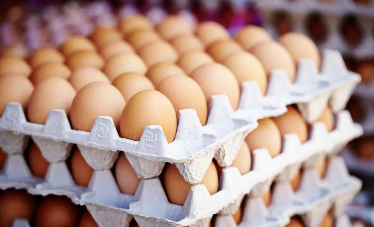 Mesmo em alta, ovos registram Quaresma mais fraca desde 2023