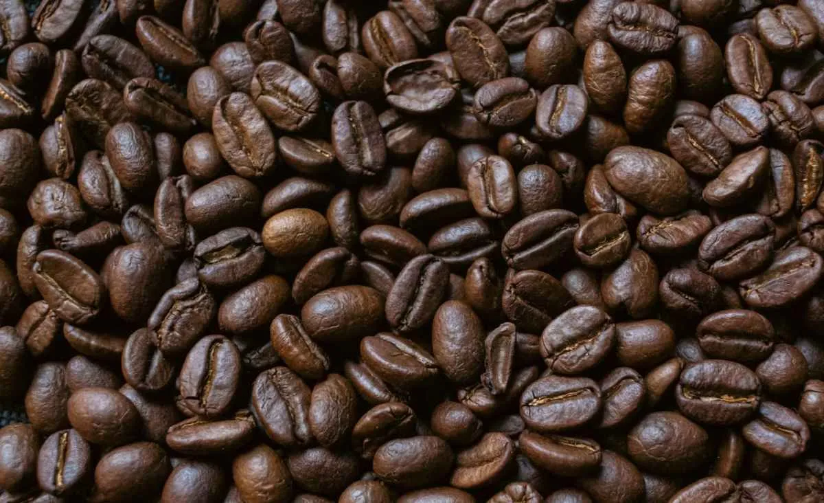 Colheita de café pressiona preços, com queda maior no robusta