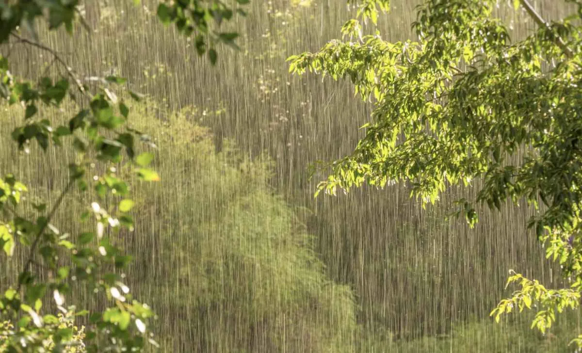 Quinta terá chuva forte e alertas em várias regiões