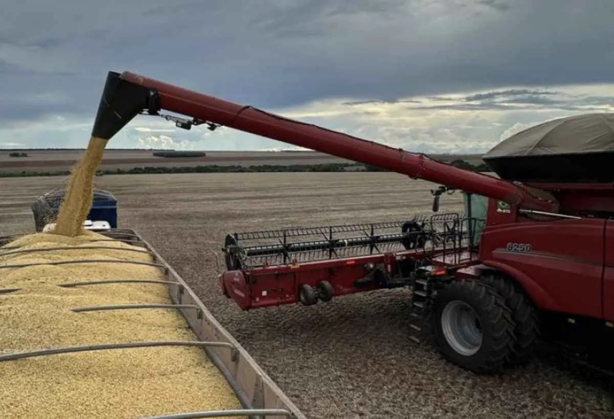 Crédito rural em MS avança em março, mas com foco no custeio