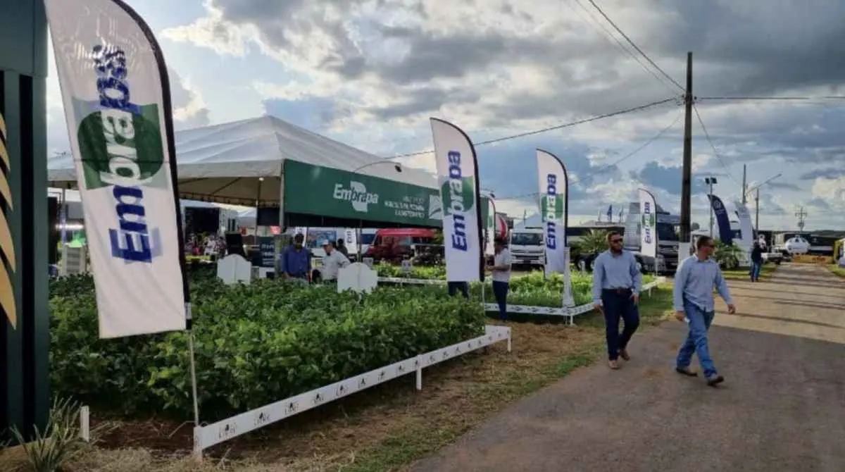 Embrapa leva inovações e lançamentos à TecnoShow 2026