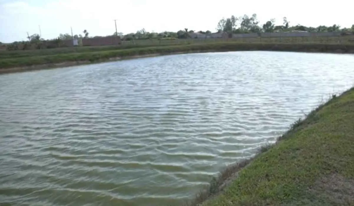 Nova regra para aquicultura preocupa e CNA pede revisão