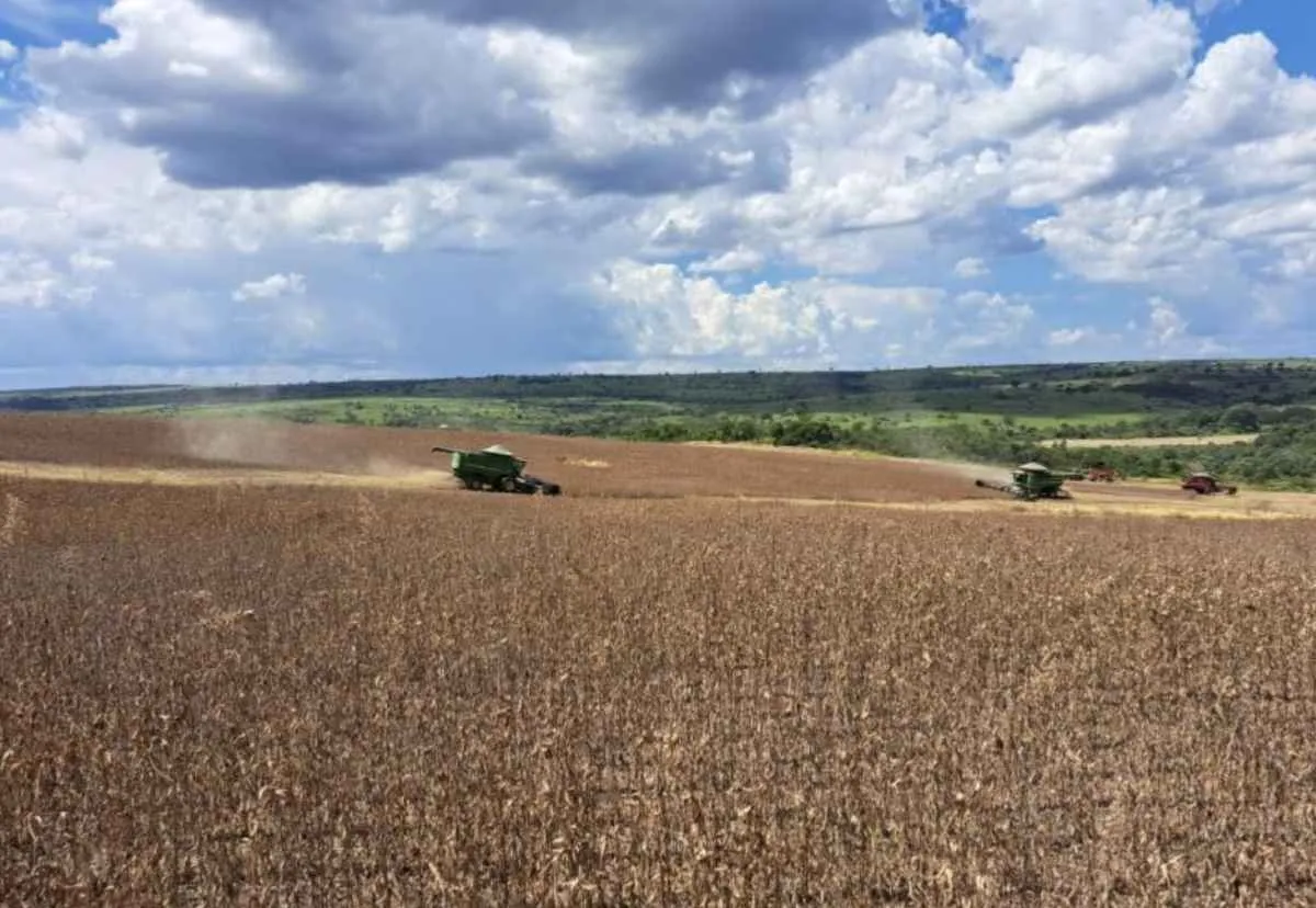 Soja em MS avança para 61,7 sc/ha e eleva projeção de produção