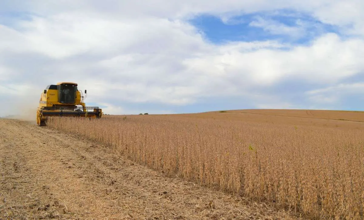  Colheita da soja atinge 50% nas áreas de atuação da Cotrijal no RS