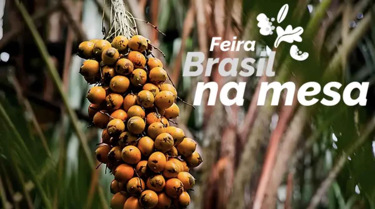 Evento do Mapa e Embrapa impulsiona alimentos regionais