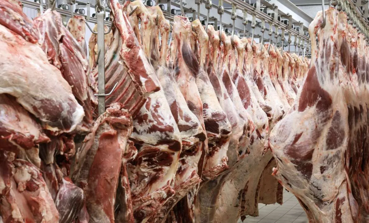 Dívida de frigorífico leva pecuaristas de MT à Justiça