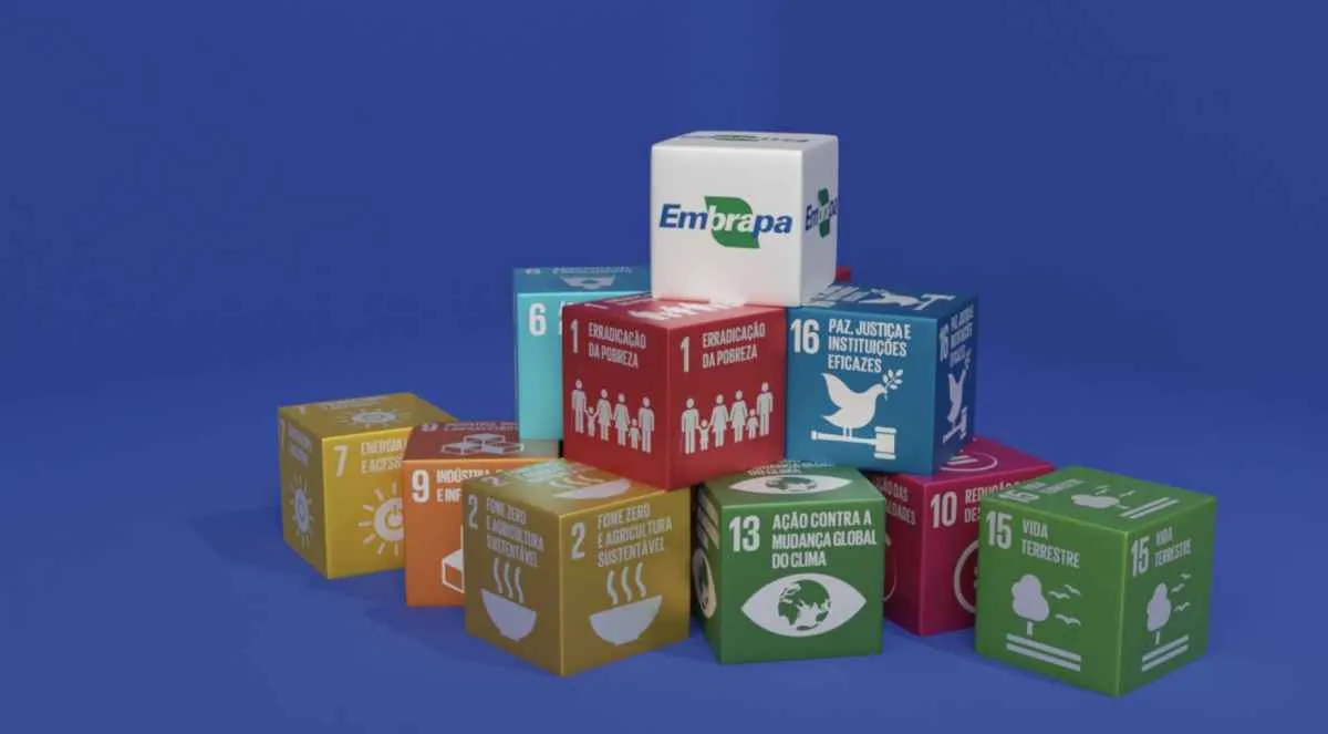 Conferência da Embrapa debate inovação e sustentabilidade